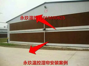 麻豆成人A片免费观看安裝現場