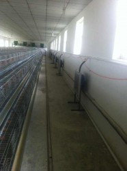 国产麻豆一精品一男同安裝現場