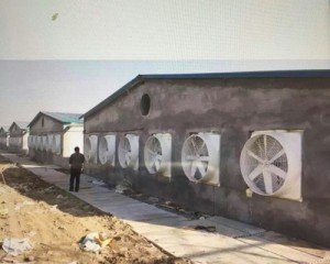国产麻豆一精品一男同安裝現場